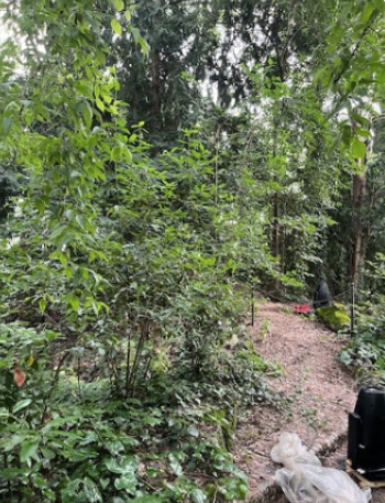 Screenshot 2025-11-03 alle 13.02.01